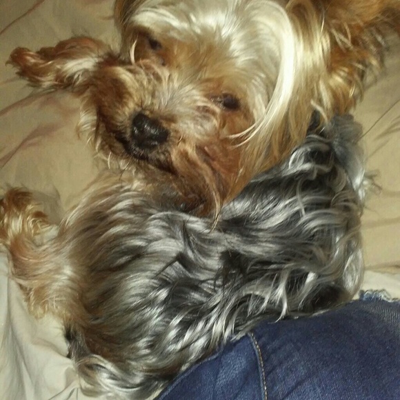 Meet your Posher, Tee - Picture 5 of 8